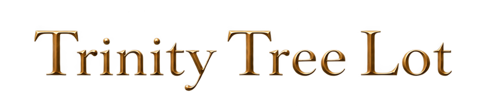 Trinity Tree Lot